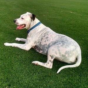 Meet your Posher, Tmari